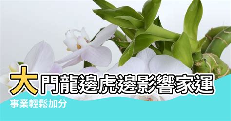 龍邊種樹|風水有關係：謝沅瑾老師，植物、拱門、回風煞、哭字。